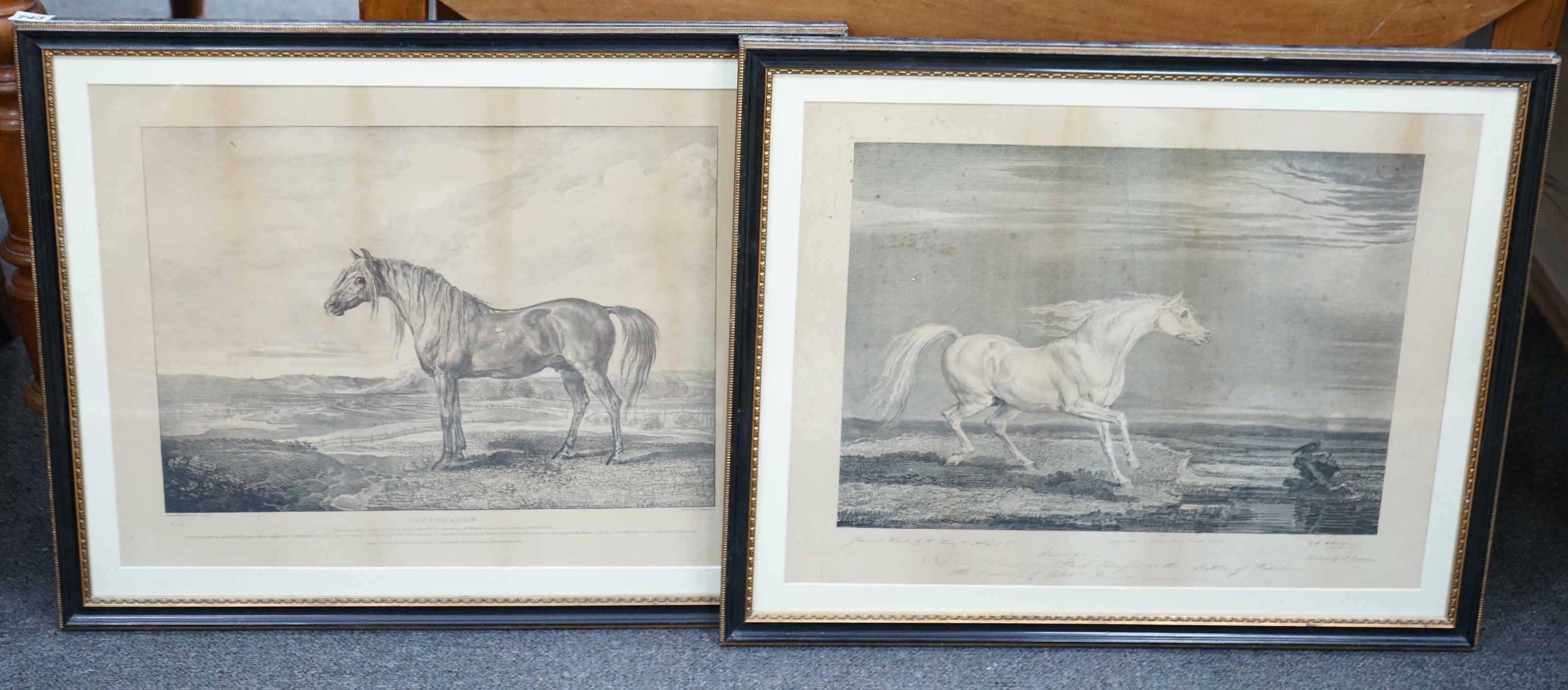 After Rudolph Ackermann (1764-1834) and James Ward (1769-1859), two black and white engravings, 'Copenhagen' and 'Marengo', Wellington and Napoleon's horses, largest 43 x 54cm